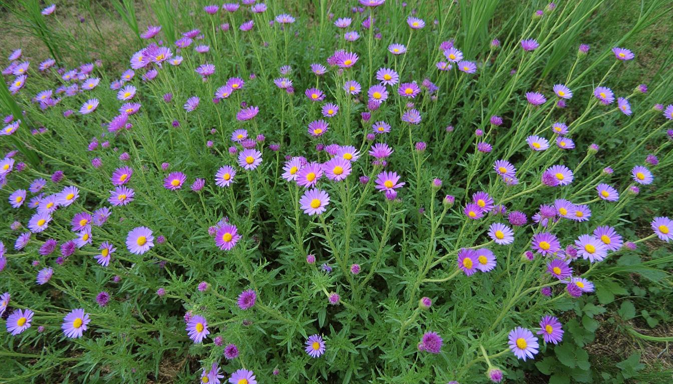 découvrez notre guide pratique pour obtenir et soumettre facilement votre récapitulatif de candidature signé, étape par étape et sans souci.